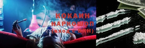 шишки Беломорск
