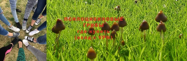 шишки Беломорск