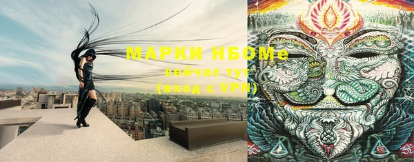шишки Беломорск