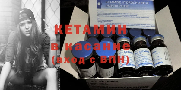 шишки Беломорск