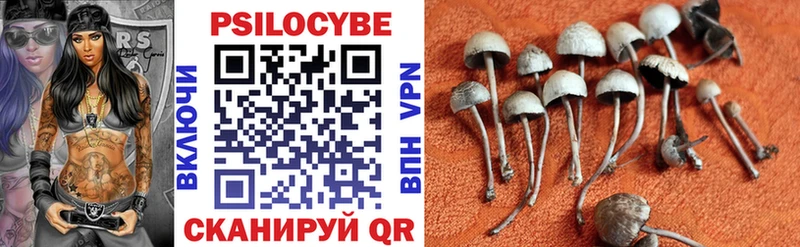 Псилоцибиновые грибы Cubensis  купить наркоту  Холмск 